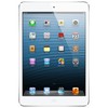 Apple iPad mini 16Gb Wi-Fi + Cellular белый - Кириши